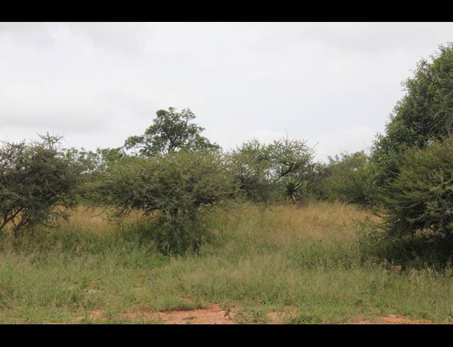 23HA VACANT LAND FOR SALE IN BENDOR